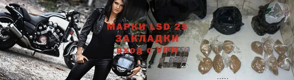 молекула духа Новокубанск