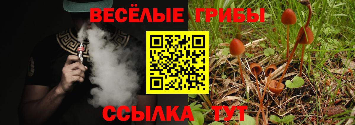 Отрадное  наркошоп  Вход с VPN  Псилоцибиновые грибы ЛСД 