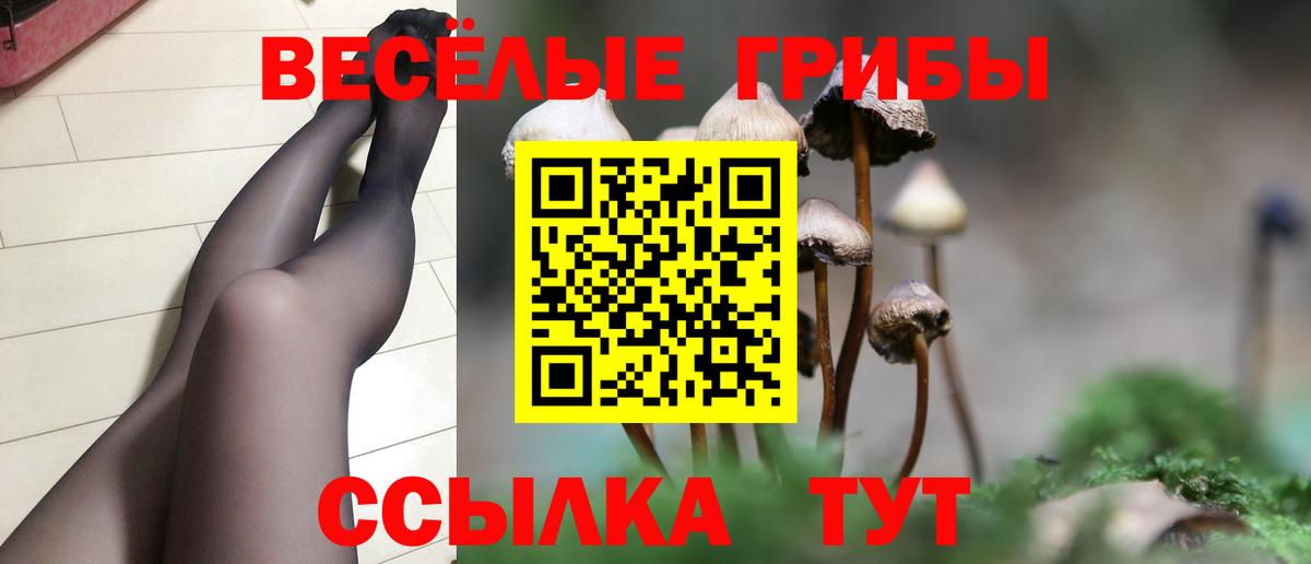 Галлюциногенные грибы Magic Shrooms Отрадное